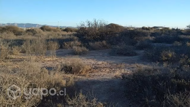 Parcela - Imagen 2