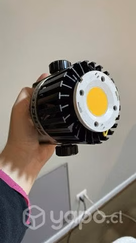 Luz Blackcob F160 indoor - Imagen 2