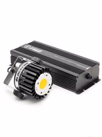 Luz Blackcob F160 indoor