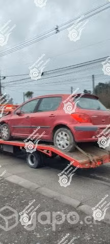 Portalon Peugeot 307