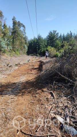 Campo 8.1 Hectarias - Imagen 3