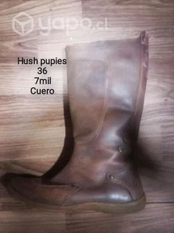 Bota Hush pupies 36