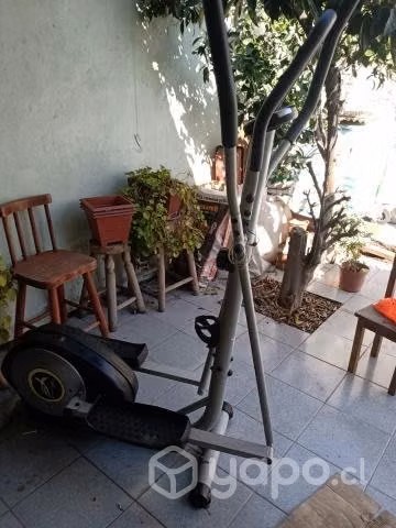 Elíptica