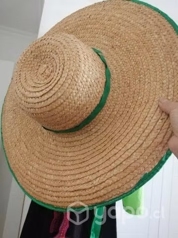 Traje típico zona Norte. - Imagen 2