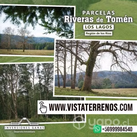Parcela 5.000 mts en los lagos, región de los ríos