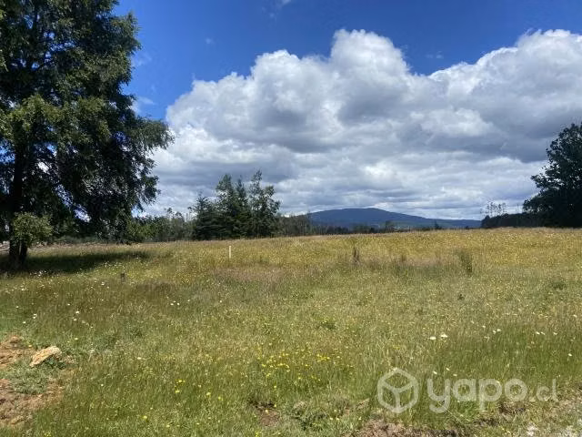 Parcela 5.000 mts en los lagos, región de los ríos