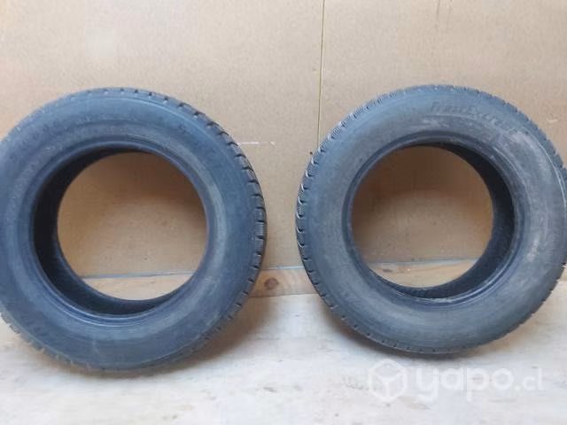 Par de neumaticos
