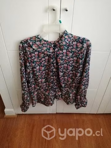 Traje típico zona Sur - Imagen 3