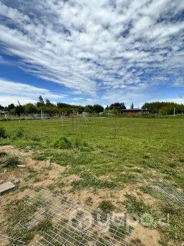 Parcela con casa y piscina arboles frutales - Imagen 5