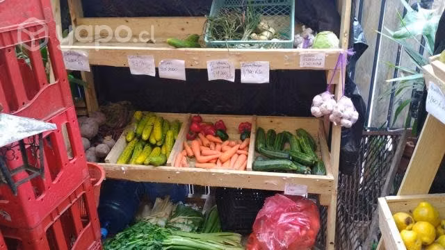 Venta de todo para tu negocio