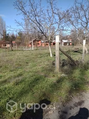 Campo de 40 hectáreas