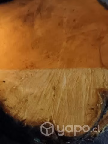 trozo de madera pino Oregon