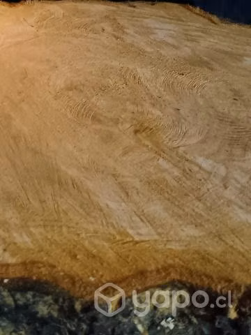 trozo de madera pino Oregon - Imagen 4