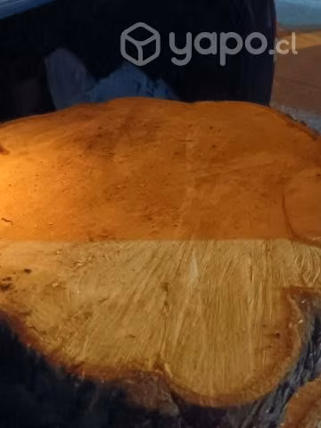 trozo de madera pino Oregon - Imagen 2