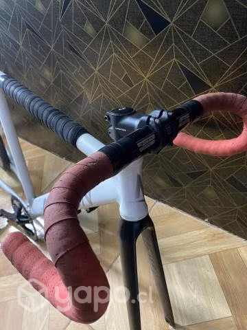 Aventon Cordoba 2016 - Imagen 3