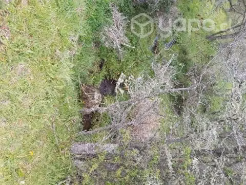 Terreno - Imagen 2