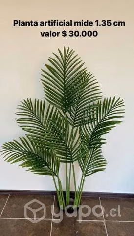 Plantas artificiales - Imagen 6