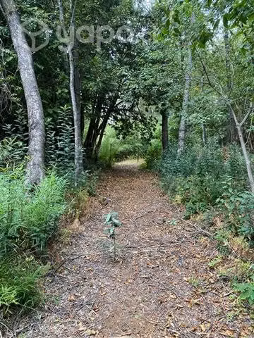 Terreno camino a las termas de Chillán KM47.5 - Imagen 2