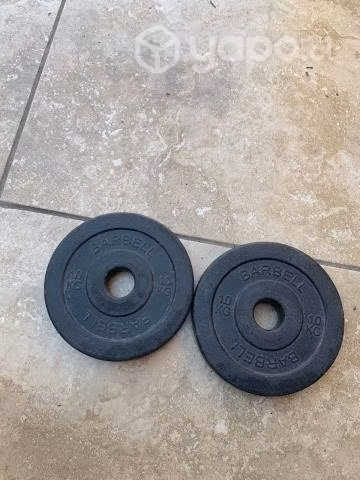 Par de mancuernas + barra + 31kg