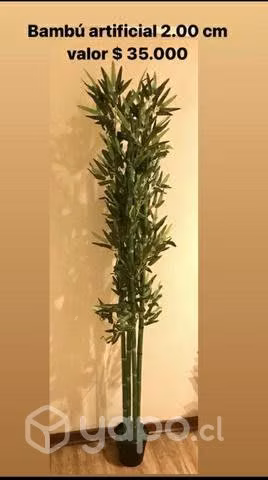 Plantas artificiales para su casa