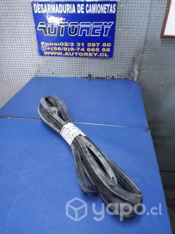 Goma contorno puerta trasera derecha Toyota Tundra