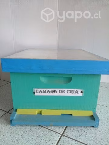 Camaras de cria para apicultura