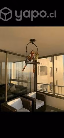 Departamento full amoblado
