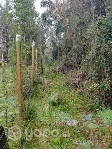 Sitios en curriñanco