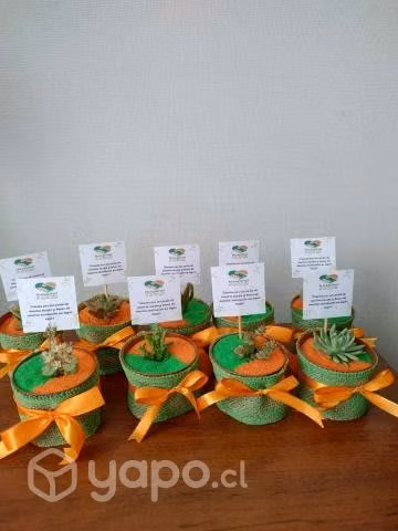 ¡Graduaciones, bautizos, cumpleaños y más