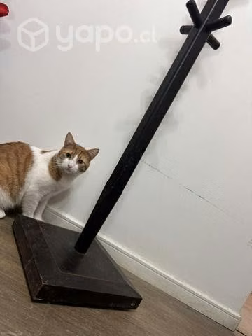 Perchero / colgador no incluye el gato