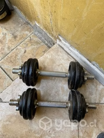 Par de Mancuernas de 4,5 kg