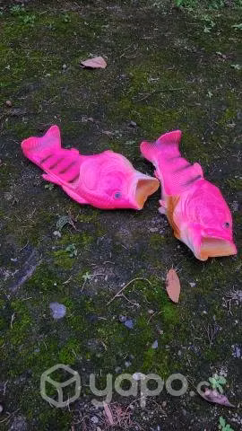 Chalas Pez