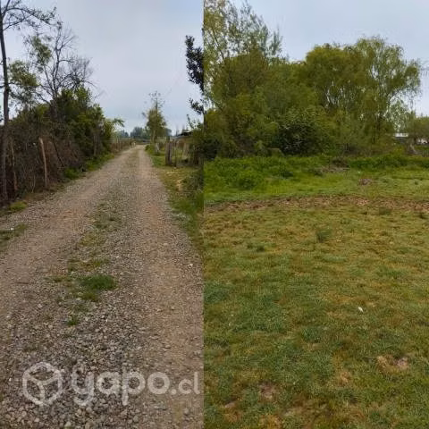 Terreno Agrícola en Las Lomas de Polcura