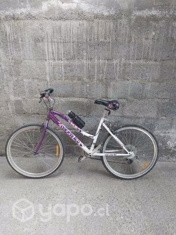 Bicicletas aro 26 y 24