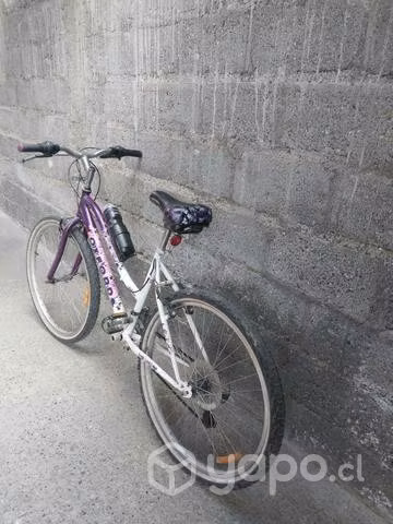 Bicicletas aro 26 y 24