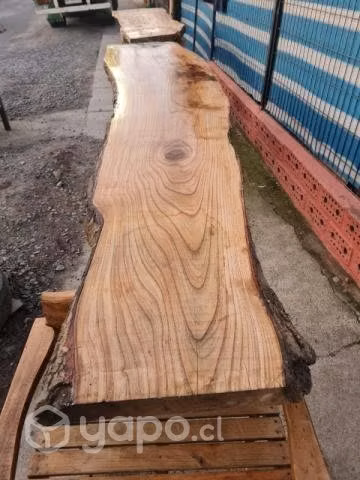 Madera de Castaño