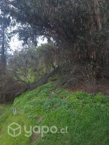 Cabaña en la pre cordillera