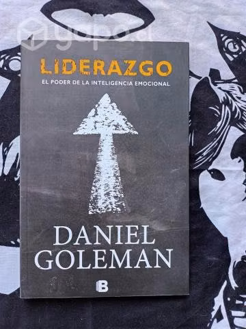Liderazgo de Daniel Goleman