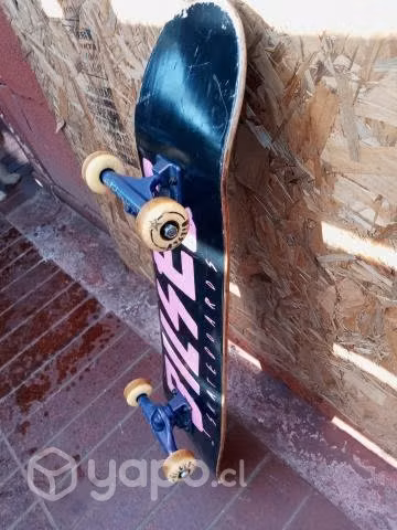 Skate bilsed