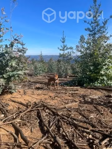 Sitio o Terreno en Pañul - Imagen 14