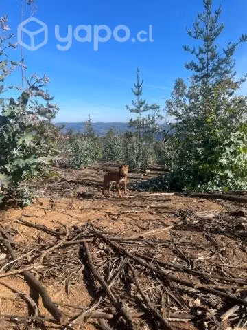 Sitio o Terreno en Pañul - Imagen 13
