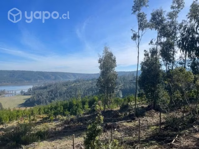 Sitio o Terreno en Pañul - Imagen 16