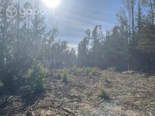 Sitio o Terreno en Pañul - Imagen 9
