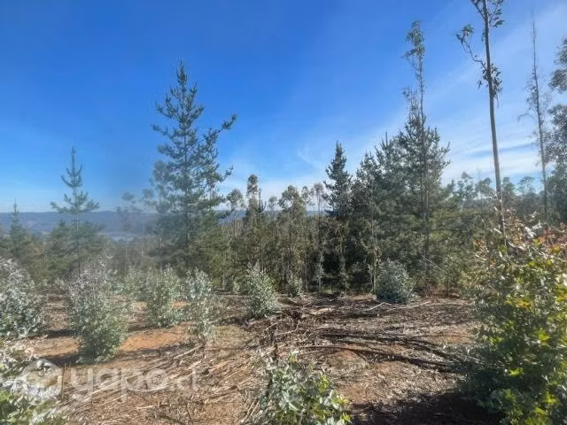 Sitio o Terreno en Pañul - Imagen 6
