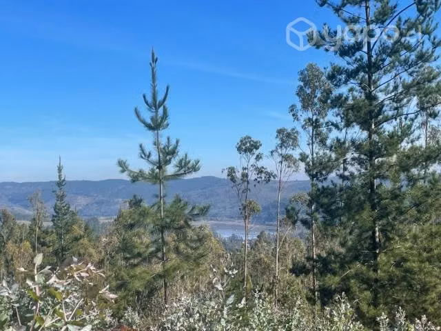 Sitio o Terreno en Pañul