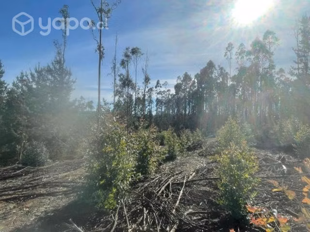 Sitio o Terreno en Pañul - Imagen 5