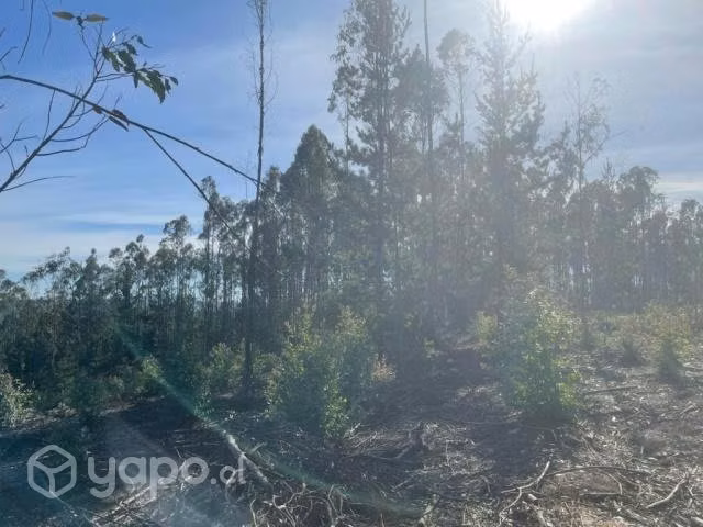 Sitio o Terreno en Pañul - Imagen 8