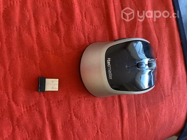 Mouse