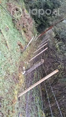 Cercados