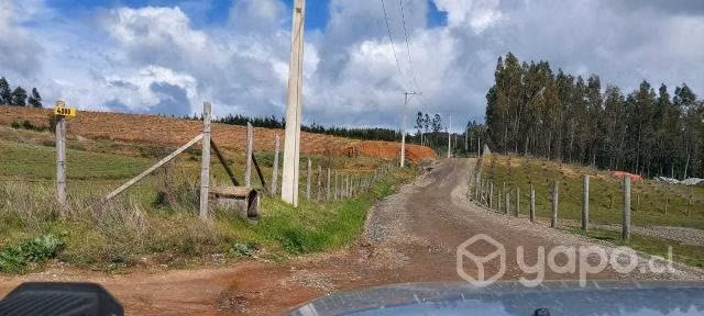 Hermoso Terreno, Tomé, sector Lloicura